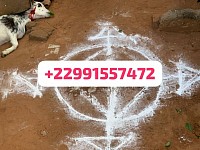 Spécialiste Guérisseur ReconnuPapa Onigbo est un guérisseur et un magnétiseur bien formé qui vous propose des solutions afin de lutter contre les maladies. Il vous suit pendant tout le processus de guérison afin de rétablir un équilibre dans votre vie. Débarrassez-vous de toutes maladies incurables, douleurs, stress, angoisse, anxiété, insomnie, dépression paranoïa, sueur froide … Faites confiance à un vrai guérisseur magnétiseur.Spécial Marabout Des Rituels au Don De OcculteVous avez trouvé un vrai marabout à votre écoute. Il a hérité de vrais dons occultes grâce à cela ces rituels et travaux occultes sont très puissants. Venez découvrir mes rituels d’Amour, Chance, Argent, Réussite, Prospérité, Bien-être … Ce sont des rituels ésotériques mais chaque rituel est personnalisé selon la situation et le désir.